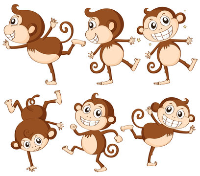 Monkey set