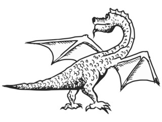 dragon
