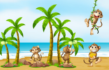 Obraz na płótnie Canvas Monkey on beach