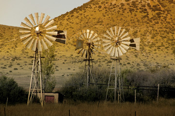 Trio of windpumps at sunset