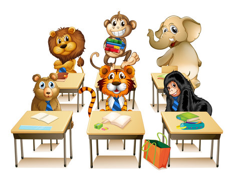 Animals in classroom