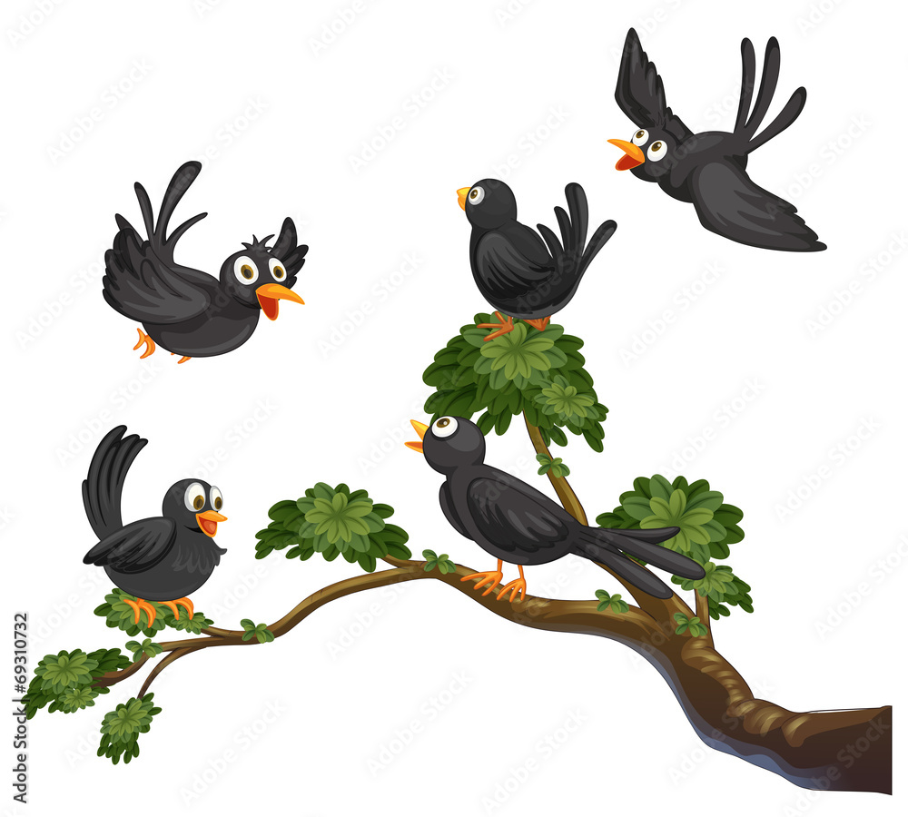 Wall mural black birds