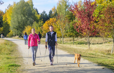 Walkingrunde im Herbst