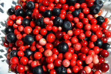 Лесная ягода.