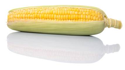Sweet corn over white background © akulamatiau