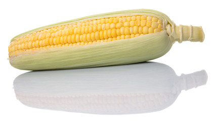 Sweet corn over white background © akulamatiau