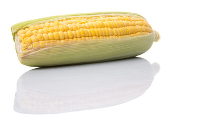 Sweet corn over white background