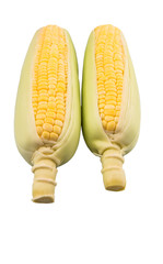 Sweet corn over white background