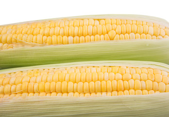 Sweet corn over white background