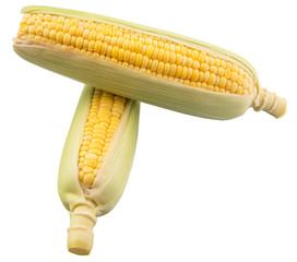 Sweet corn over white background © akulamatiau