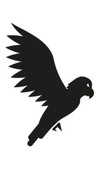 Adler Profil Fliegen