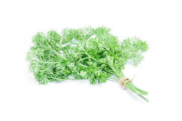 parsley isolated on white