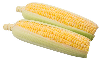 Sweet corn over white background © akulamatiau