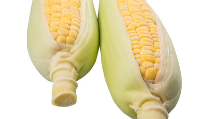 Sweet corn over white background