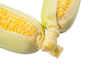 Sweet corn over white background © akulamatiau