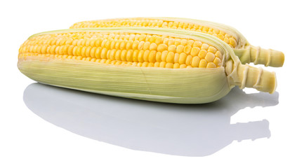 Sweet corn over white background © akulamatiau
