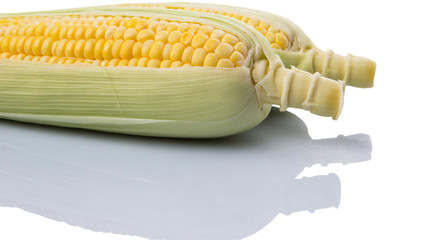Sweet corn over white background © akulamatiau