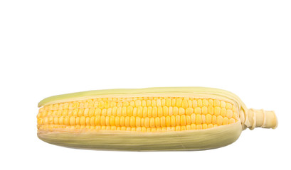 Sweet corn over white background