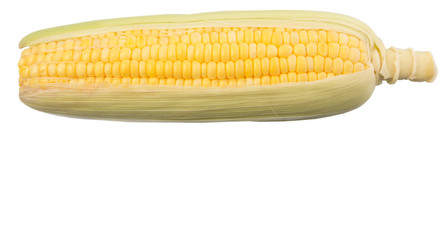 Sweet corn over white background © akulamatiau