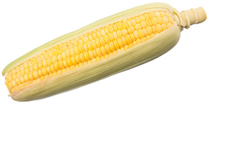 Sweet corn over white background © akulamatiau