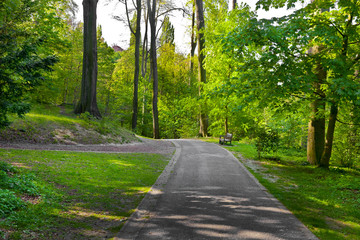 Footpath in spring park.