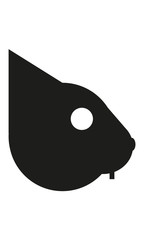 Eichhörnchen Kopf Profil