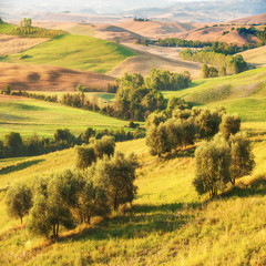Beautiful sunrise over the Val d'Orcia in Tuscany, natural park