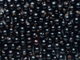 Black currant
