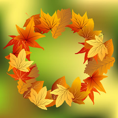 Obraz premium осенние листья на зеленом фоне