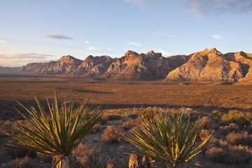 Dawn at Red Rock National Conservation Area. © trekandphoto