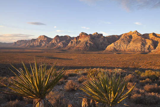 Dawn at Red Rock National Conservation Area.