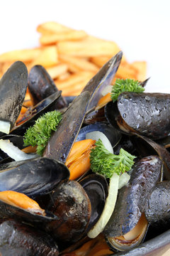 moules