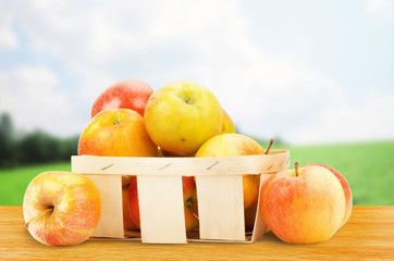 Fresh and colorful apples in basket