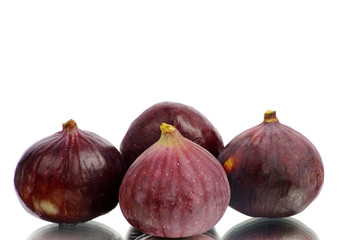 fig