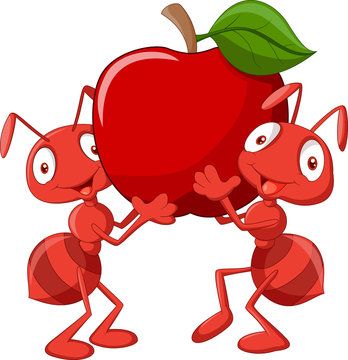 Two ants holding red apple