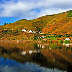 Fototapeta premium River Douro