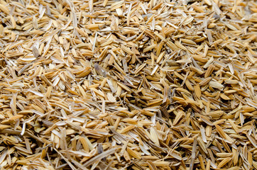 rice husk