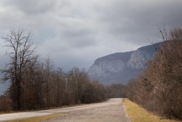 Fototapeta premium Autumn beautiful forest
