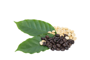 Coffee and leaf isolated