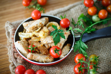 fillet roasted turkey slices with vegetables