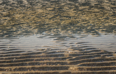 little water on ridge sand on the beach