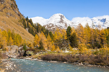 Fototapeta na wymiar rapid River in autumn alp landscape