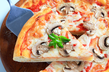 Pizza Fungi