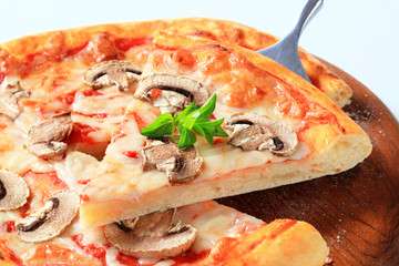 Pizza Fungi