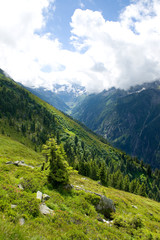 Fototapeta na wymiar Zillertal - Alpen - Österreich