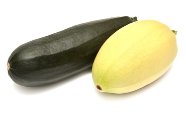 Zucchini