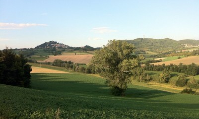Fototapeta na wymiar Monferrato-Panorama