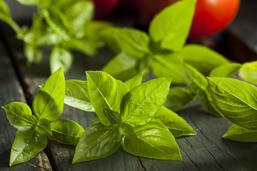 Fresh Green Organic Basil