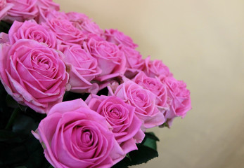 Pink roses bouquet with free space for text