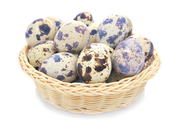 Obraz premium Quail Egg